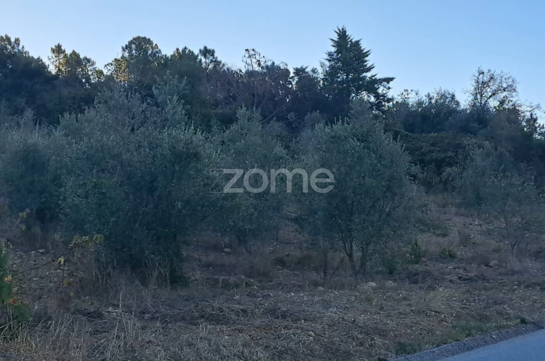 Terreno para Venda em Almalagues Foto 6