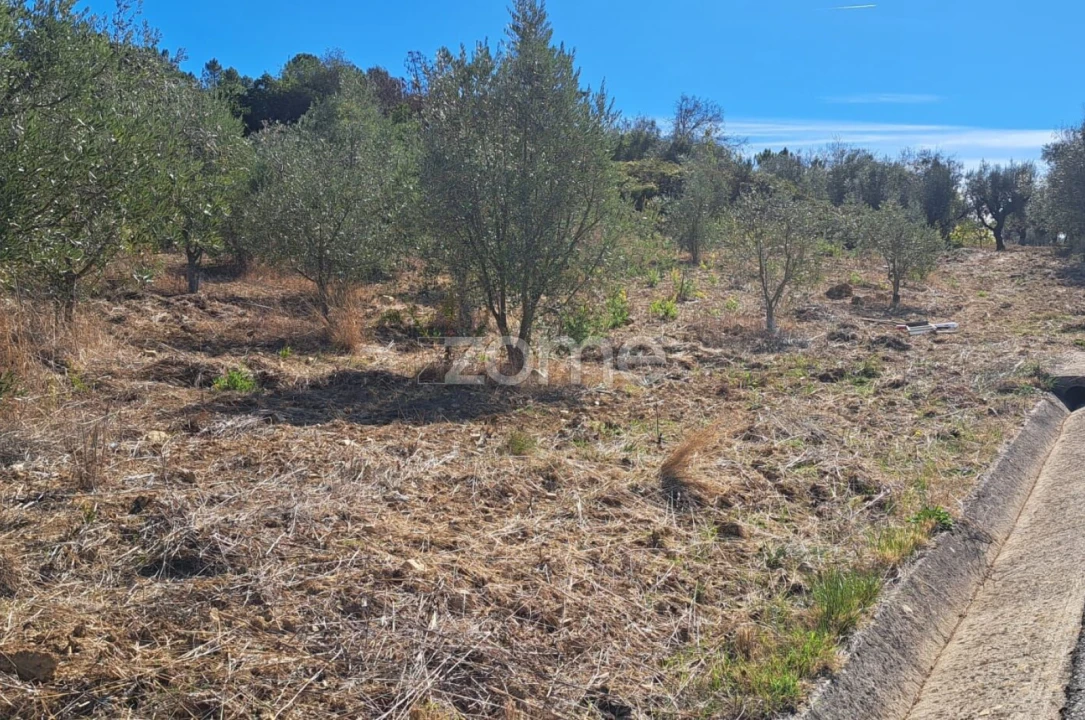 Terreno para Venda em Almalagues Foto 1