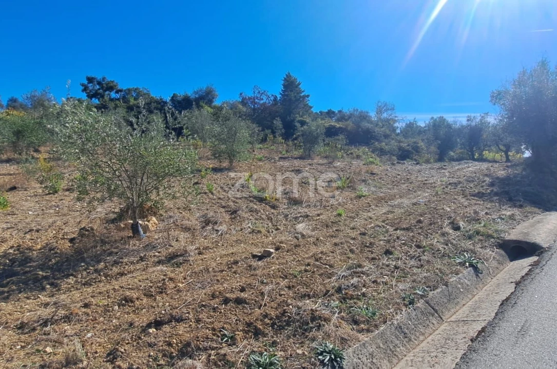 Terreno para Venda em Almalagues Foto 2