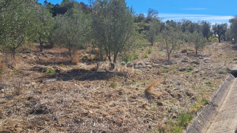 Terreno para Venda em Almalagues