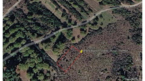 Terreno para Venda em Carva e Vilares