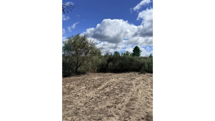 Terreno para Venda em Carva e Vilares Foto 3