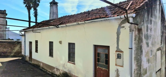 Quinta T5 para Venda em Cortegaça