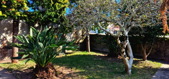 Quinta T5 para Venda em Cortegaça