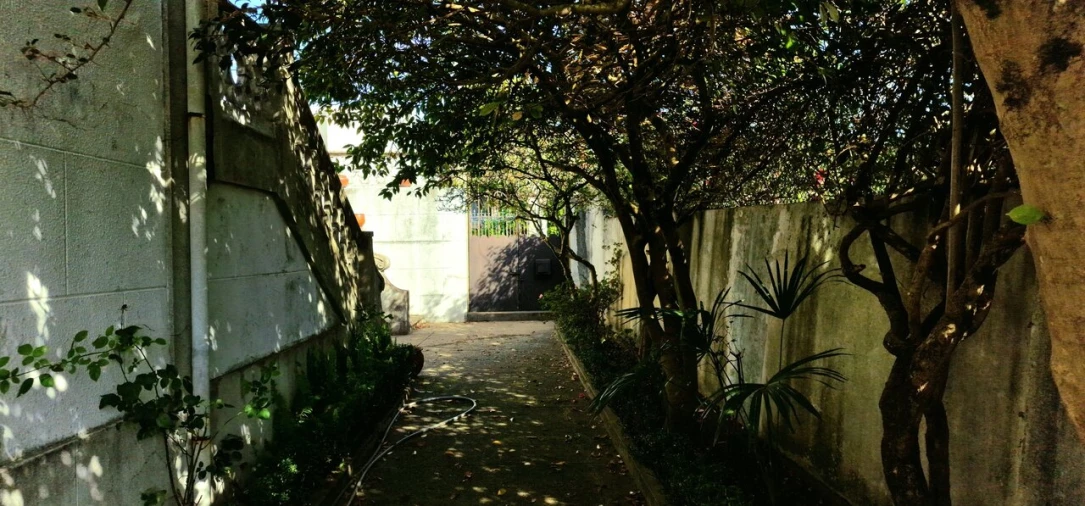 Quinta T5 para Venda em Cortegaça Foto 18