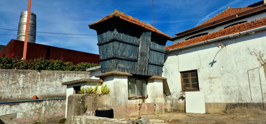 Quinta T5 para Venda em Cortegaça Foto 24