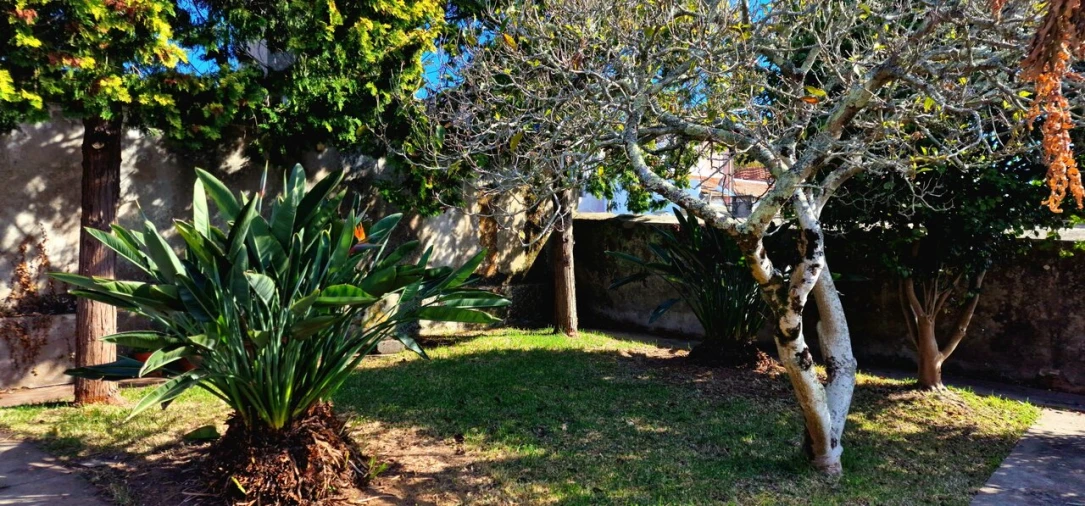 Quinta T5 para Venda em Cortegaça Foto 27