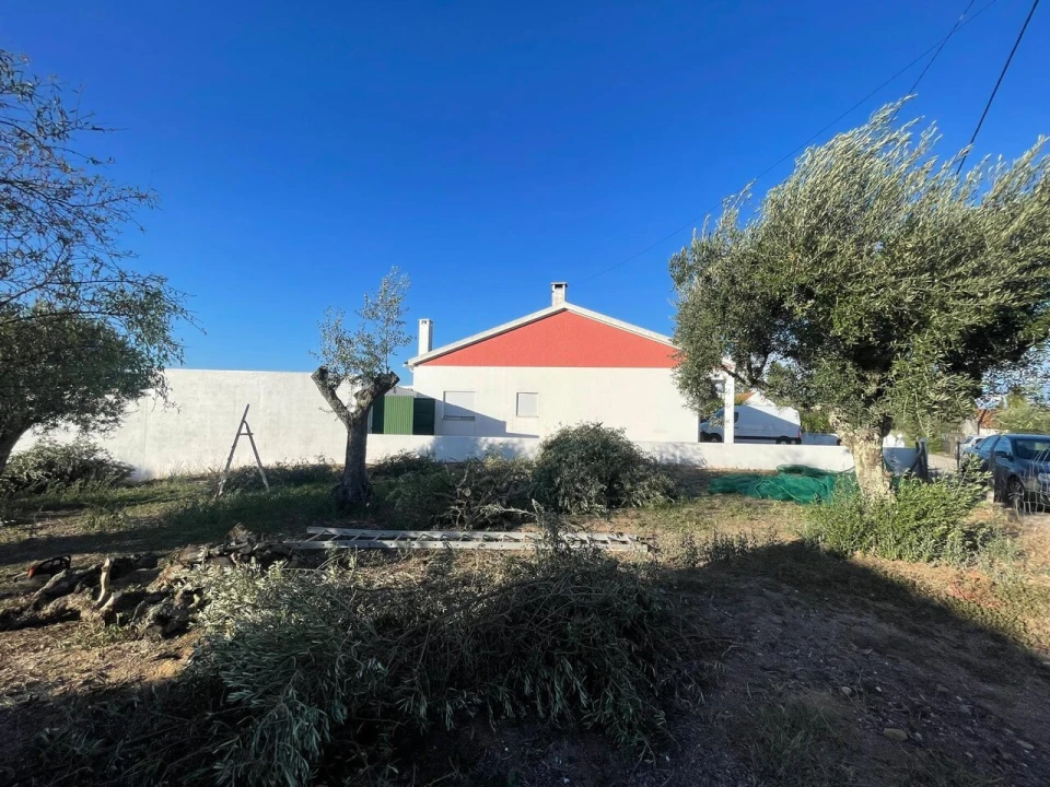 Terreno para Venda em Brogueira, Parceiros de Igreja e Alcorochel Foto 6
