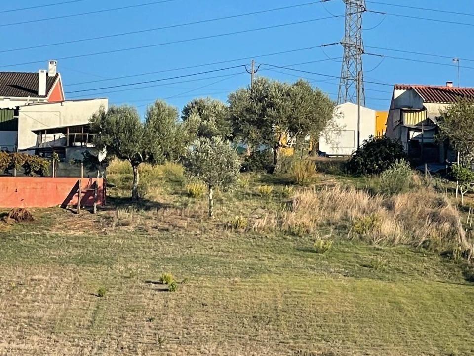 Terreno para Venda em Brogueira, Parceiros de Igreja e Alcorochel Foto 11