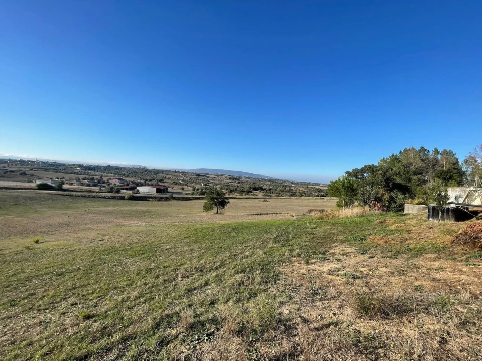 Terreno para Venda em Brogueira, Parceiros de Igreja e Alcorochel Foto 12
