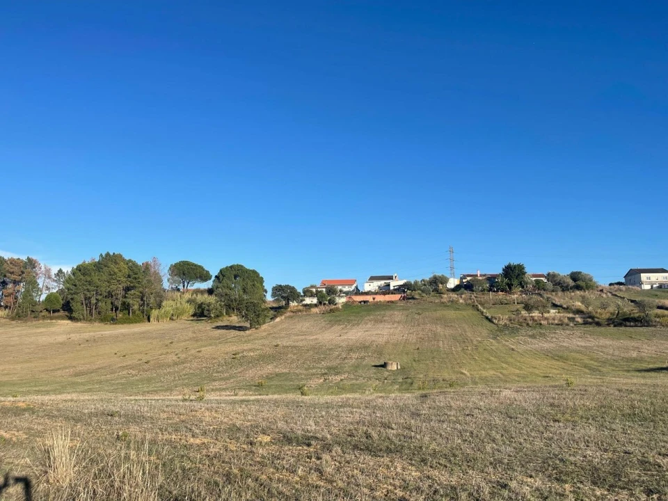 Terreno para Venda em Brogueira, Parceiros de Igreja e Alcorochel Foto 22