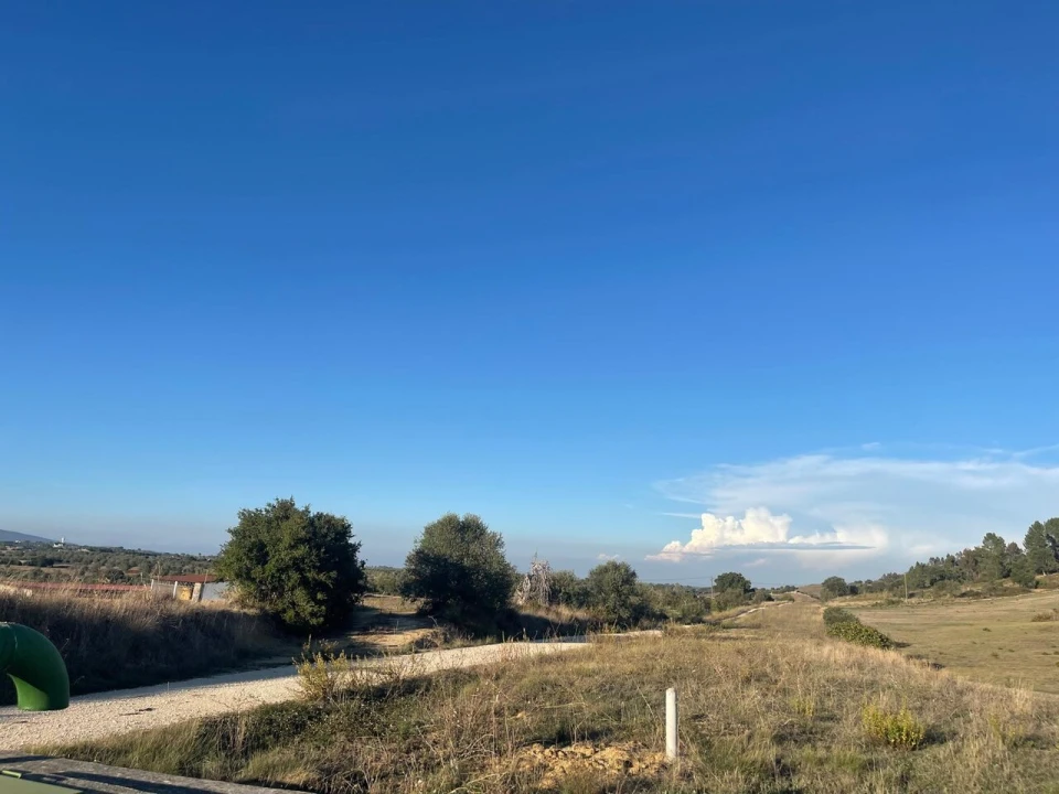 Terreno para Venda em Brogueira, Parceiros de Igreja e Alcorochel Foto 25