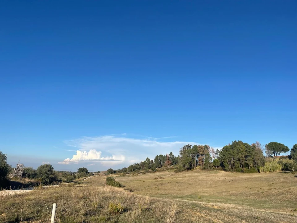 Terreno para Venda em Brogueira, Parceiros de Igreja e Alcorochel Foto 26