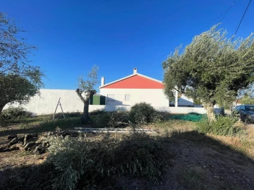 Terreno para Venda em Brogueira, Parceiros de Igreja e Alcorochel