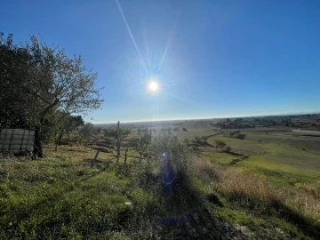 Terreno para Venda em Brogueira, Parceiros de Igreja e Alcorochel