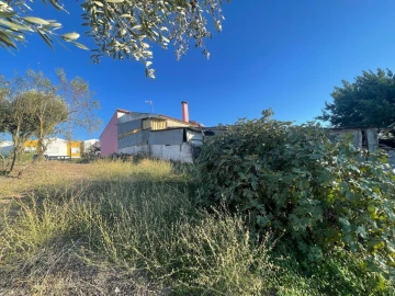 Terreno para Venda em Brogueira, Parceiros de Igreja e Alcorochel