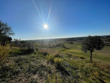 Terreno para Venda em Brogueira, Parceiros de Igreja e Alcorochel