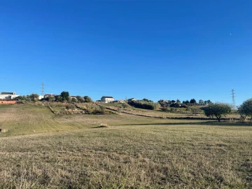 Terreno para Venda em Brogueira, Parceiros de Igreja e Alcorochel