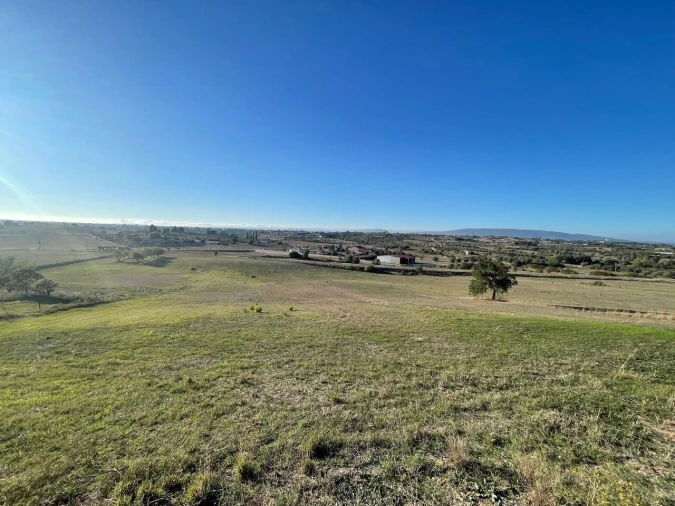 Terreno para Venda em Brogueira, Parceiros de Igreja e Alcorochel Foto 19