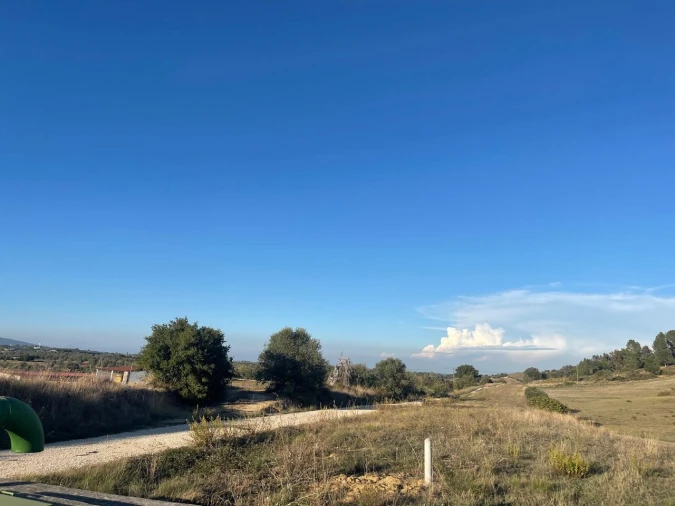 Terreno para Venda em Brogueira, Parceiros de Igreja e Alcorochel Foto 25