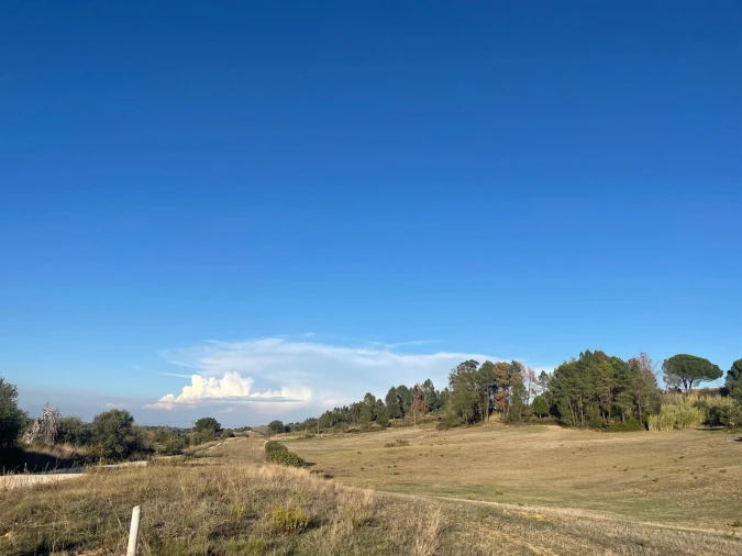 Terreno para Venda em Brogueira, Parceiros de Igreja e Alcorochel Foto 26