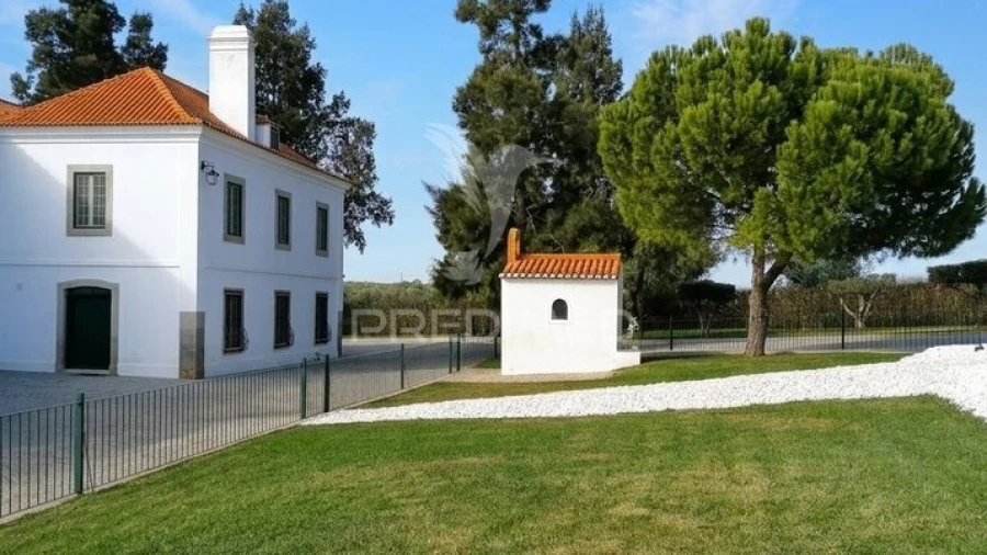 Quinta T4 para Venda em Pedrogão