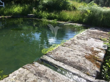 Quinta T4 para Venda em Santa Maria da Devesa