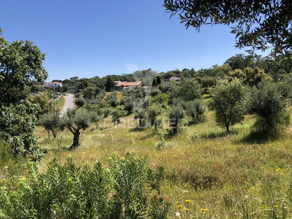 Quinta T4 para Venda em Santa Maria da Devesa Foto 2