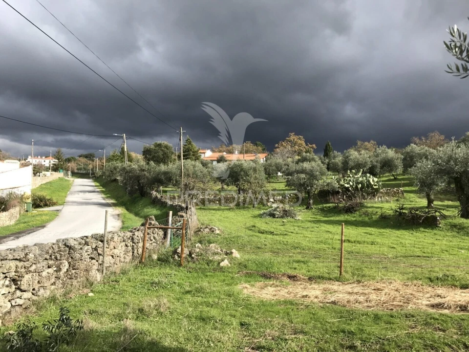 Quinta T4 para Venda em Santa Maria da Devesa Foto 12