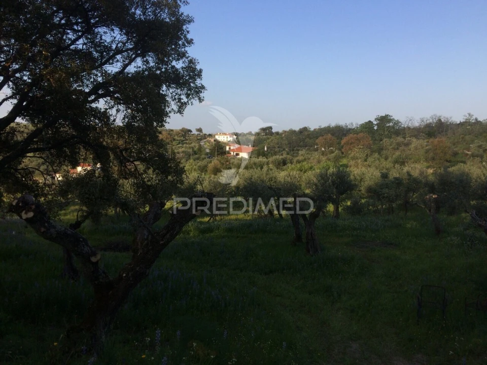 Quinta T4 para Venda em Santa Maria da Devesa Foto 14