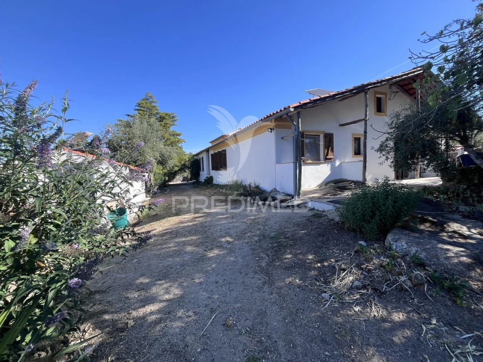 Quinta T4 para Venda em Santa Maria da Devesa Foto 25