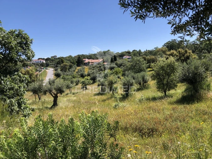 Quinta T4 para Venda em Santa Maria da Devesa Foto 2