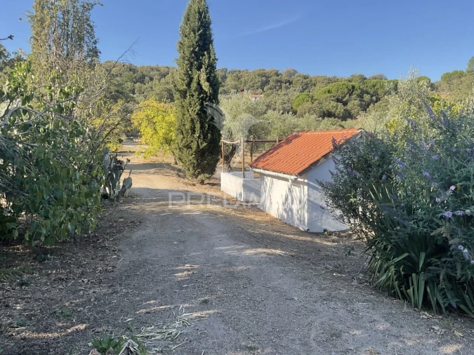 Quinta T4 para Venda em Santa Maria da Devesa Foto 13