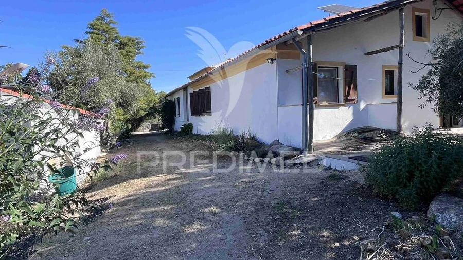 Quinta T4 para Venda em Santa Maria da Devesa