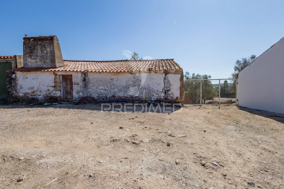 Moradia T1 para Venda em Gafanhoeira (São Pedro) e Sabugueiro Foto 1