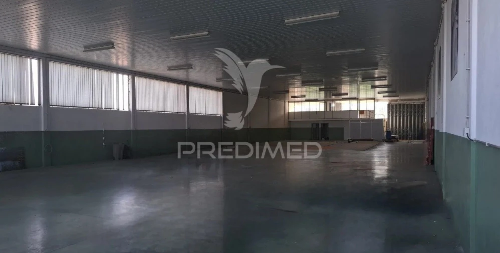 Armazém para Arrendamento em Candoso (São Martinho) Foto 5