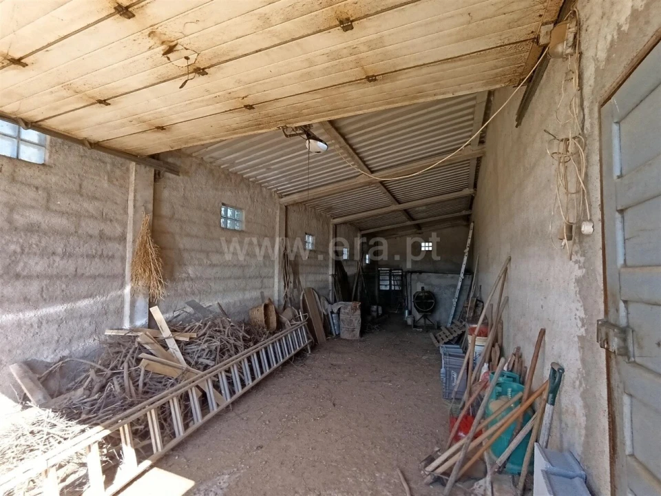 Terreno para Venda em Três Povos Foto 3