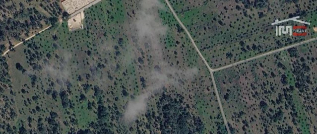 Terreno Agricola ou Rústico para Venda em Pego