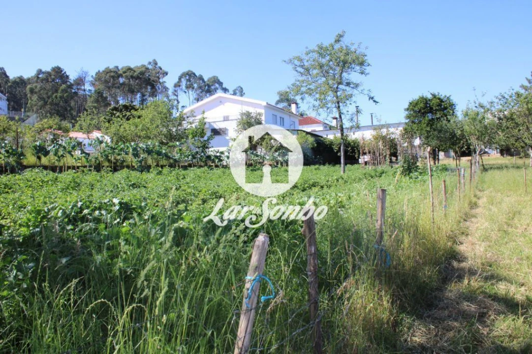Terreno para Venda em Chorente, Góios, Courel, Pedra Furada e Gueral Foto 3