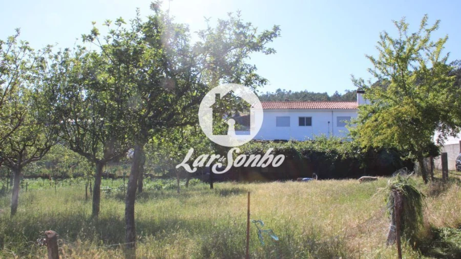 Terreno para Venda em Chorente, Góios, Courel, Pedra Furada e Gueral
