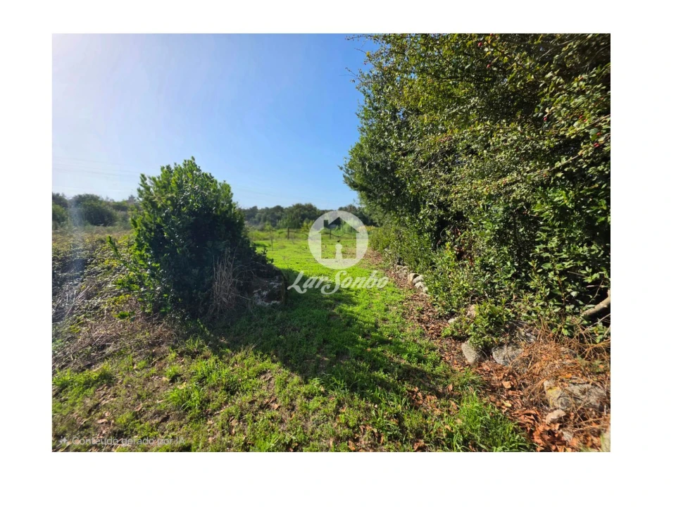 Terreno Agricola ou Rústico para Venda em Vila do Conde Foto 2