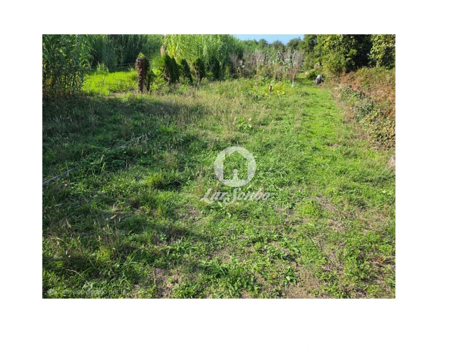 Terreno Agricola ou Rústico para Venda em Vila do Conde Foto 8