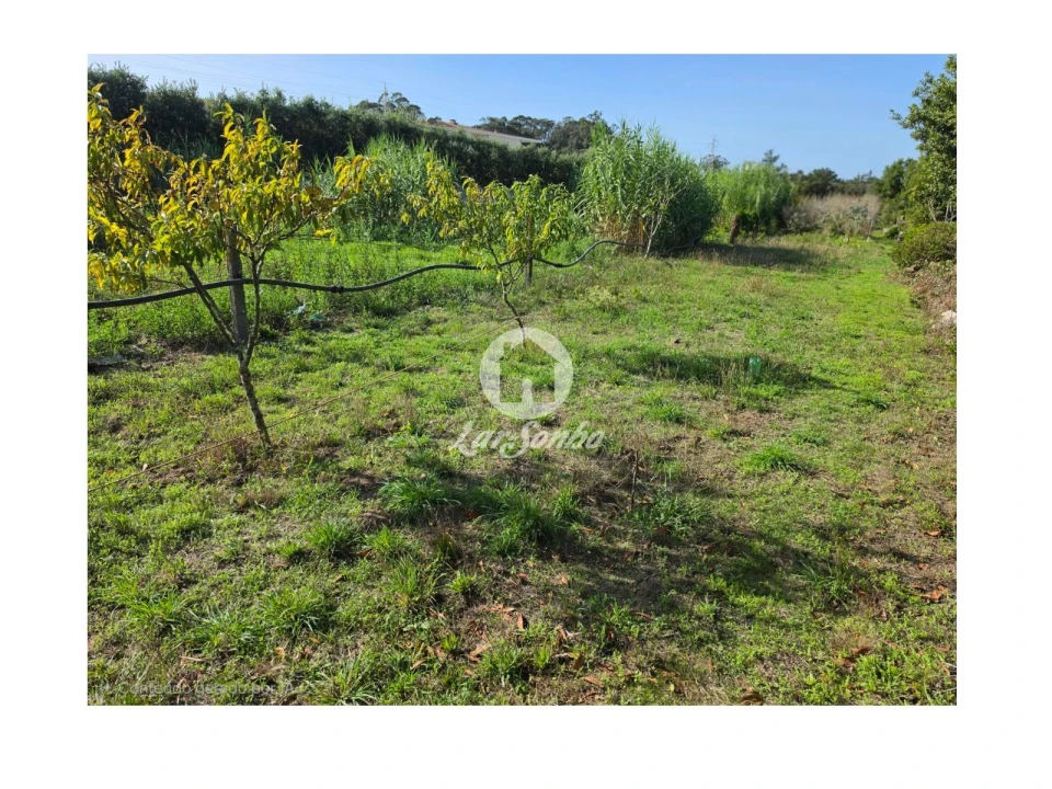 Terreno Agricola ou Rústico para Venda em Vila do Conde Foto 7