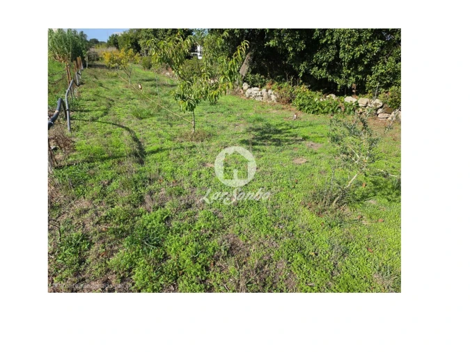 Terreno Agricola ou Rústico para Venda em Vila do Conde Foto 9