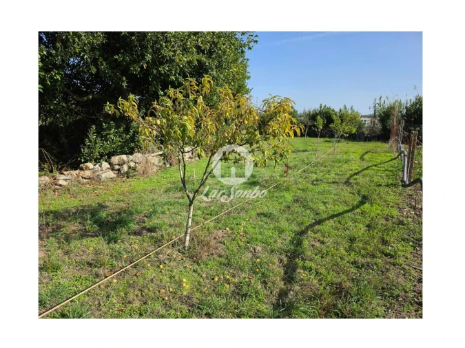 Terreno Agricola ou Rústico para Venda em Vila do Conde Foto 12