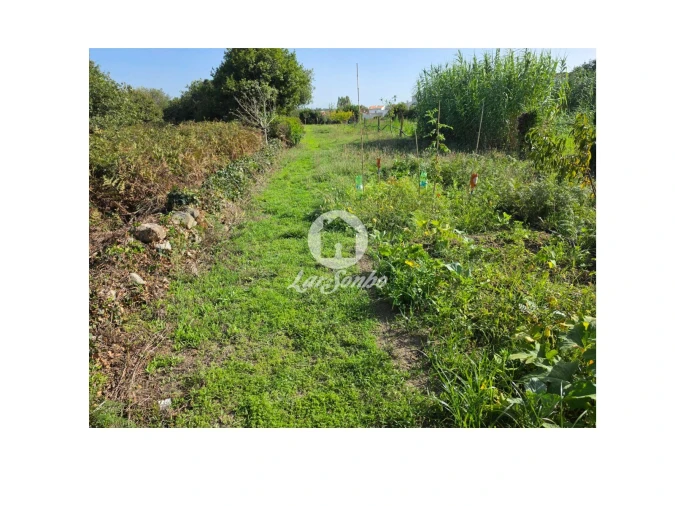 Terreno Agricola ou Rústico para Venda em Vila do Conde Foto 13