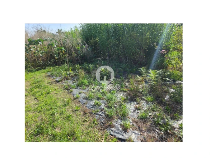 Terreno Agricola ou Rústico para Venda em Vila do Conde Foto 15