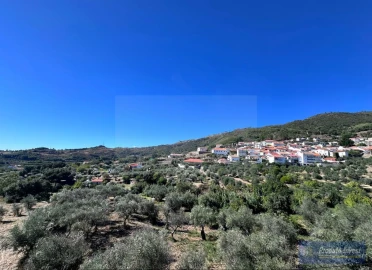 Apartamento T2 para Venda em Alpedrinha
