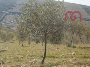 Terreno para Venda em Castelo Melhor