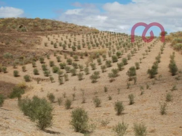 Terreno para Venda em Castelo Melhor